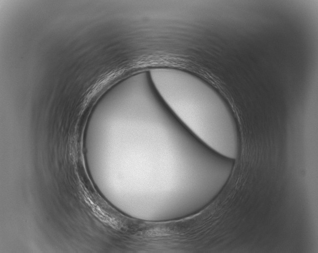 X0000086070578200703231016