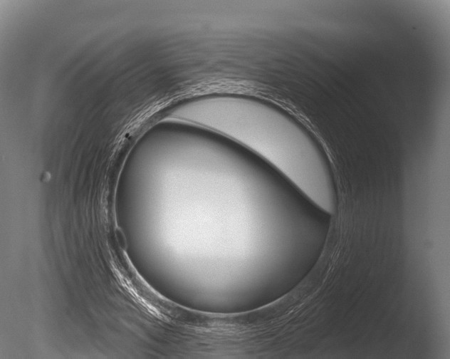 X0000086070581200703231016