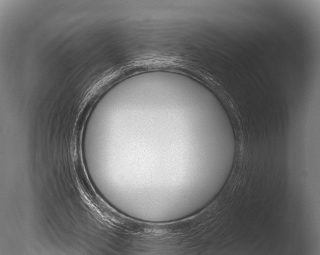 X0000086070582200703231016