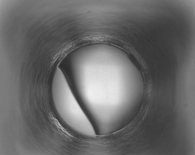 X0000086070585200703231016