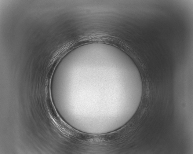 X0000086070586200703231016