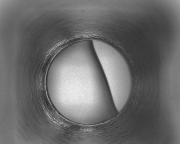 X0000086070587200703231016