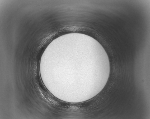 X0000086070592200703231016