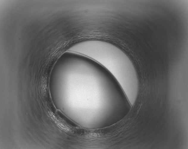 X0000086070593200703231016