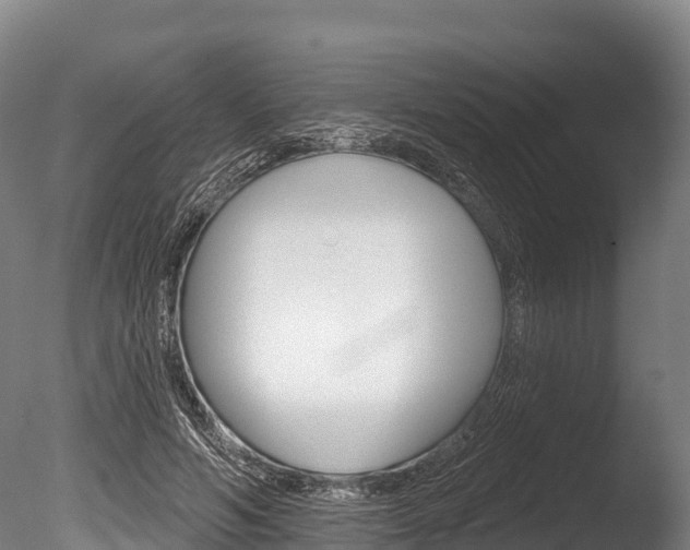 X0000086070594200703231015