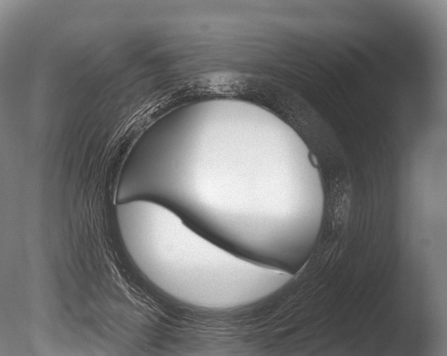 X0000086070595200703231015