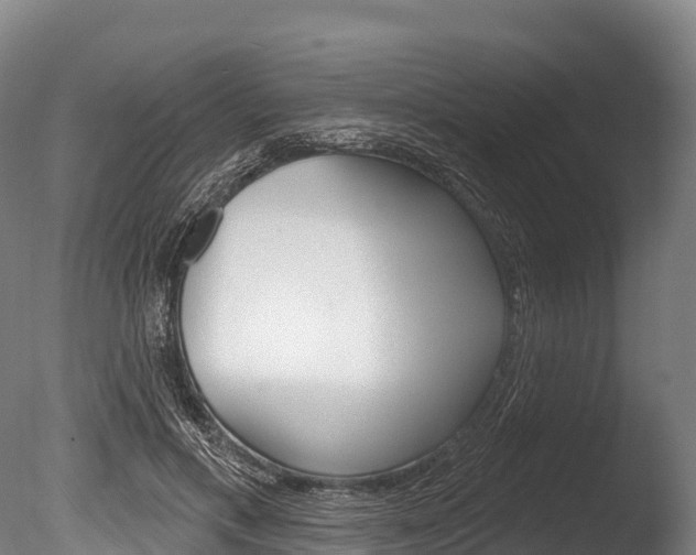 X0000086070597200703231015