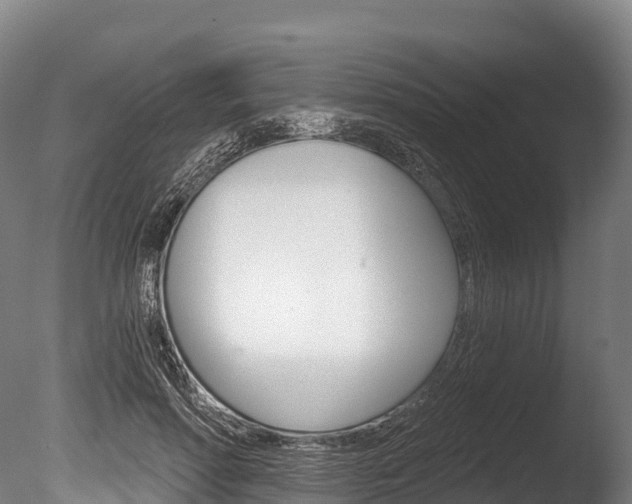 X0000086070598200703231015