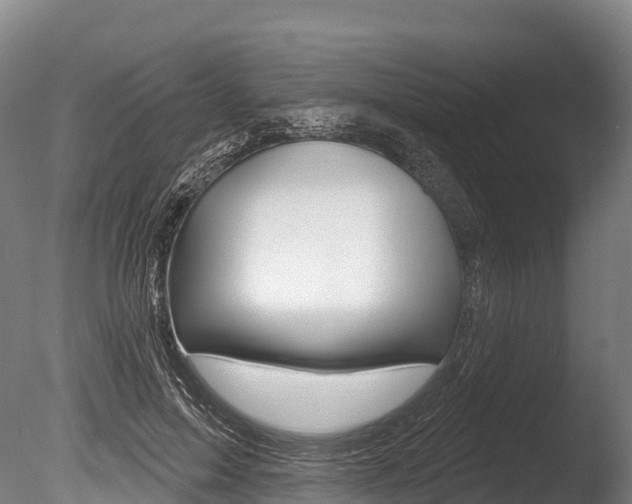 X0000086070599200703231015