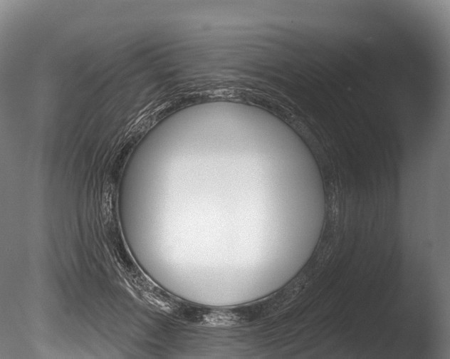 X0000086070603200703231015