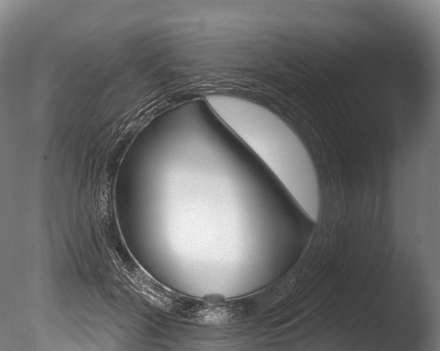X0000086070604200703231015