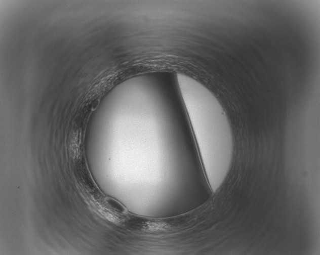 X0000086070605200703231015