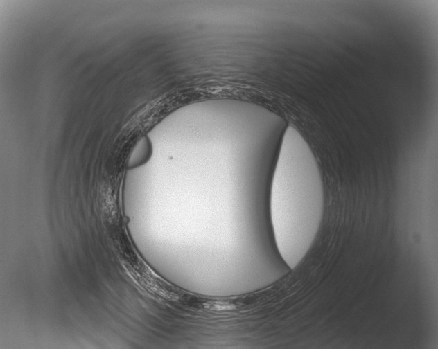 X0000086070607200703231015
