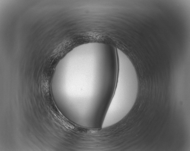 X0000086070613200703231015