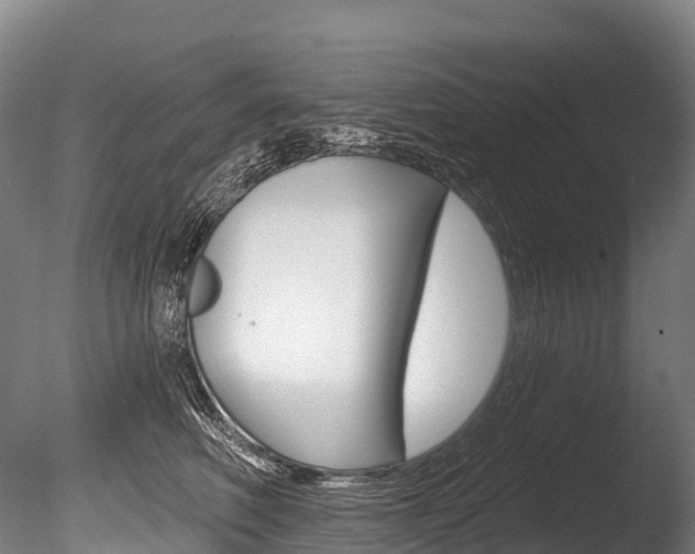 X0000086070614200703231015