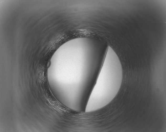 X0000086070615200703231015