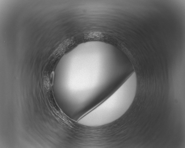 X0000086070617200703231015