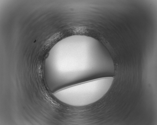 X0000086070619200703231015