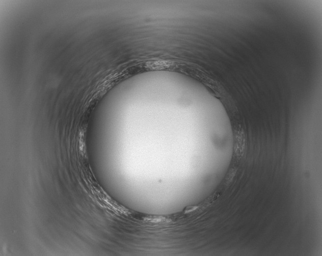 X0000086070621200703231015