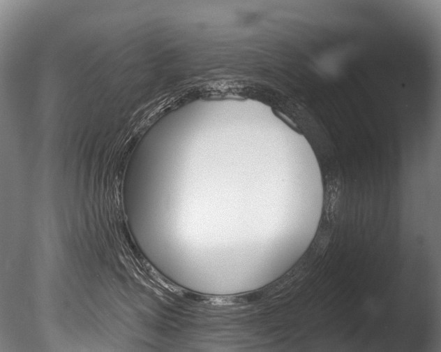 X0000086070623200703231015