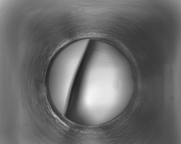 X0000086070625200703231014