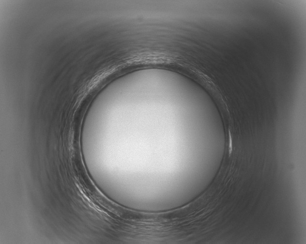 X0000086070627200703231014