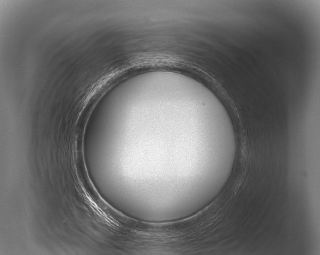 X0000086070629200703231014