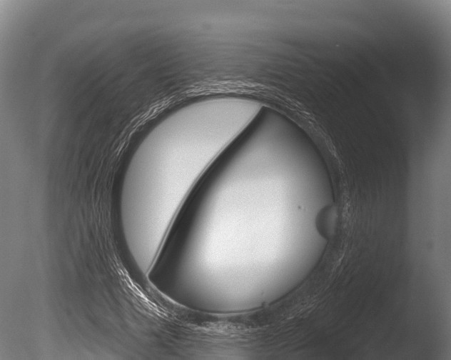 X0000086070633200703231014