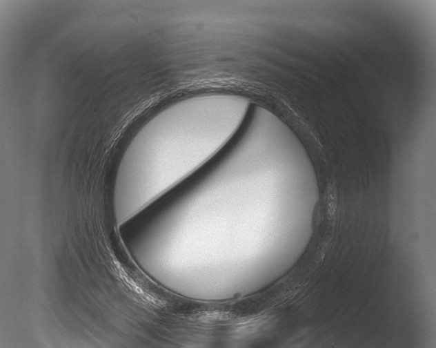 X0000086070637200703231014