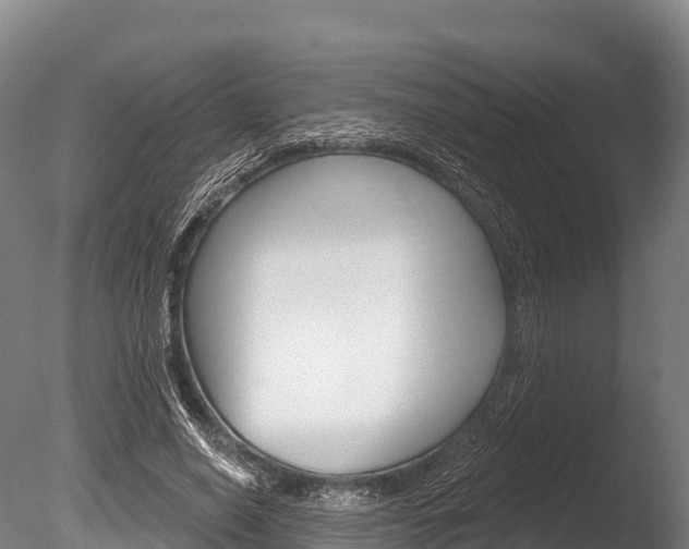 X0000086070638200703231014