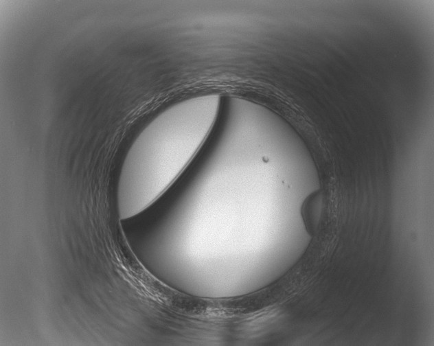 X0000086070641200703231014