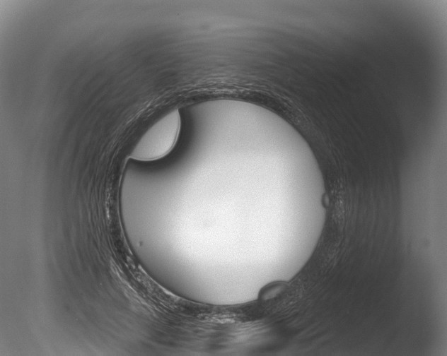 X0000086070643200703231014