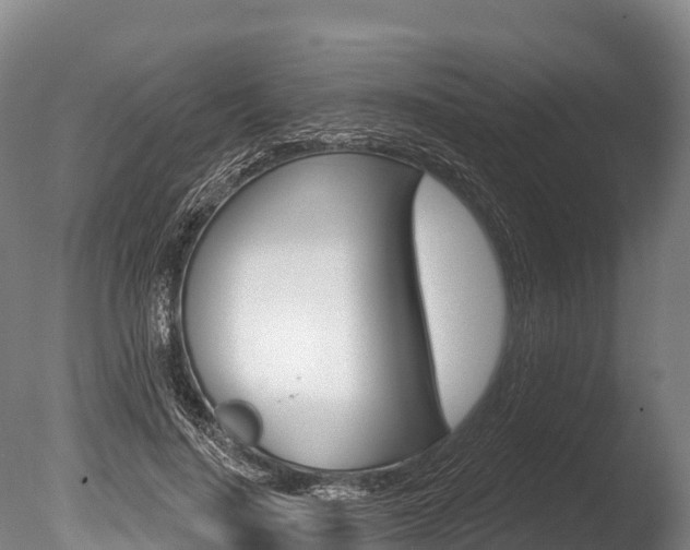 X0000086070644200703231014