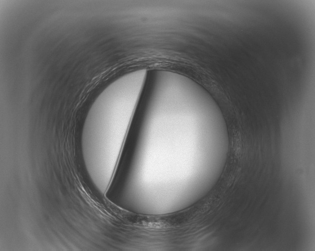 X0000086070645200703231014