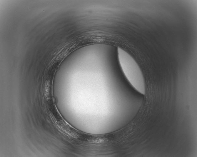 X0000086070646200703231015