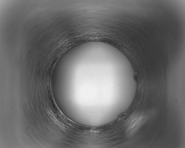X0000086070647200703231015