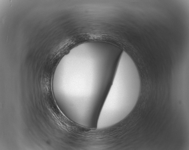 X0000086070648200703231015