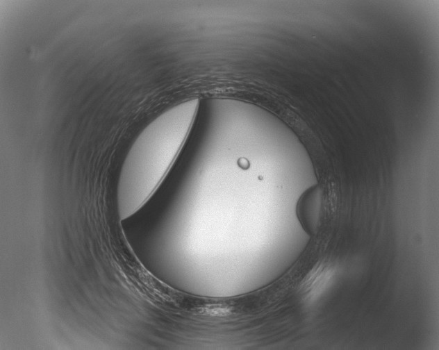 X0000086070651200703231015