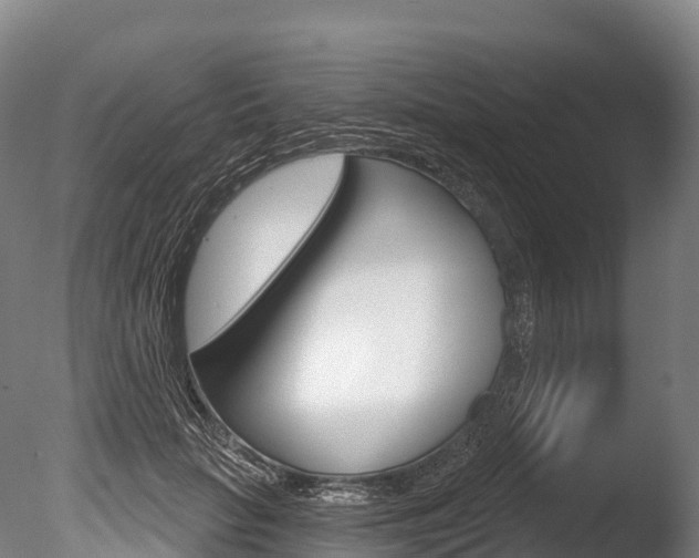 X0000086070653200703231015