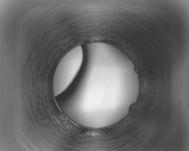 X0000086070655200703231015