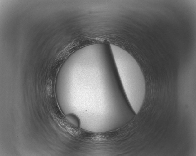 X0000086070656200703231015