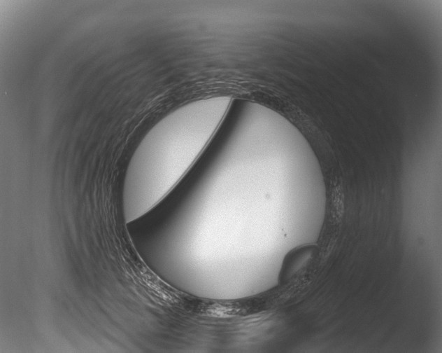 X0000086070657200703231015