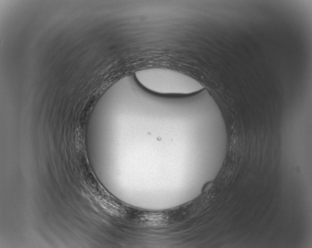 X0000086070659200703231015