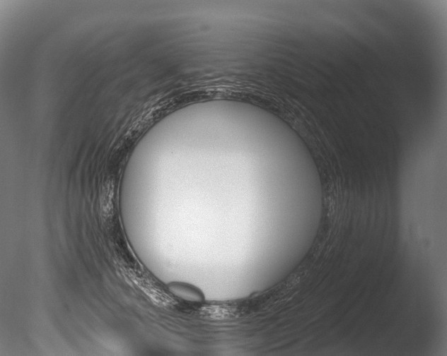 X0000086070660200703231015