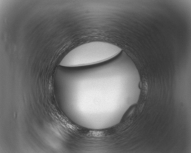 X0000086070665200703231015