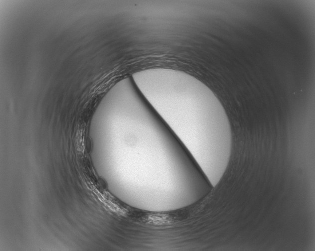 X0000086070666200703231015