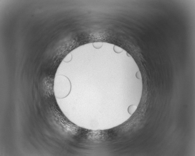 X0000086070672200703231015