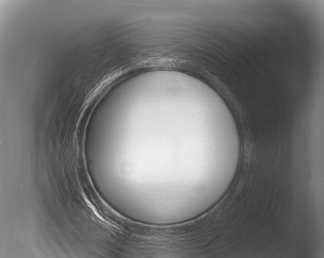 X0000086070674200703231014