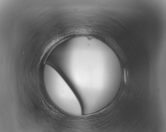 X0000086070675200703231014