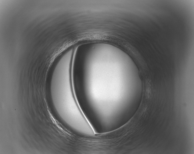 X0000086070677200703231014